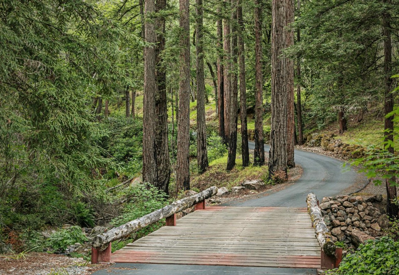 A small wooden bridge over a creek, lined by redwoods